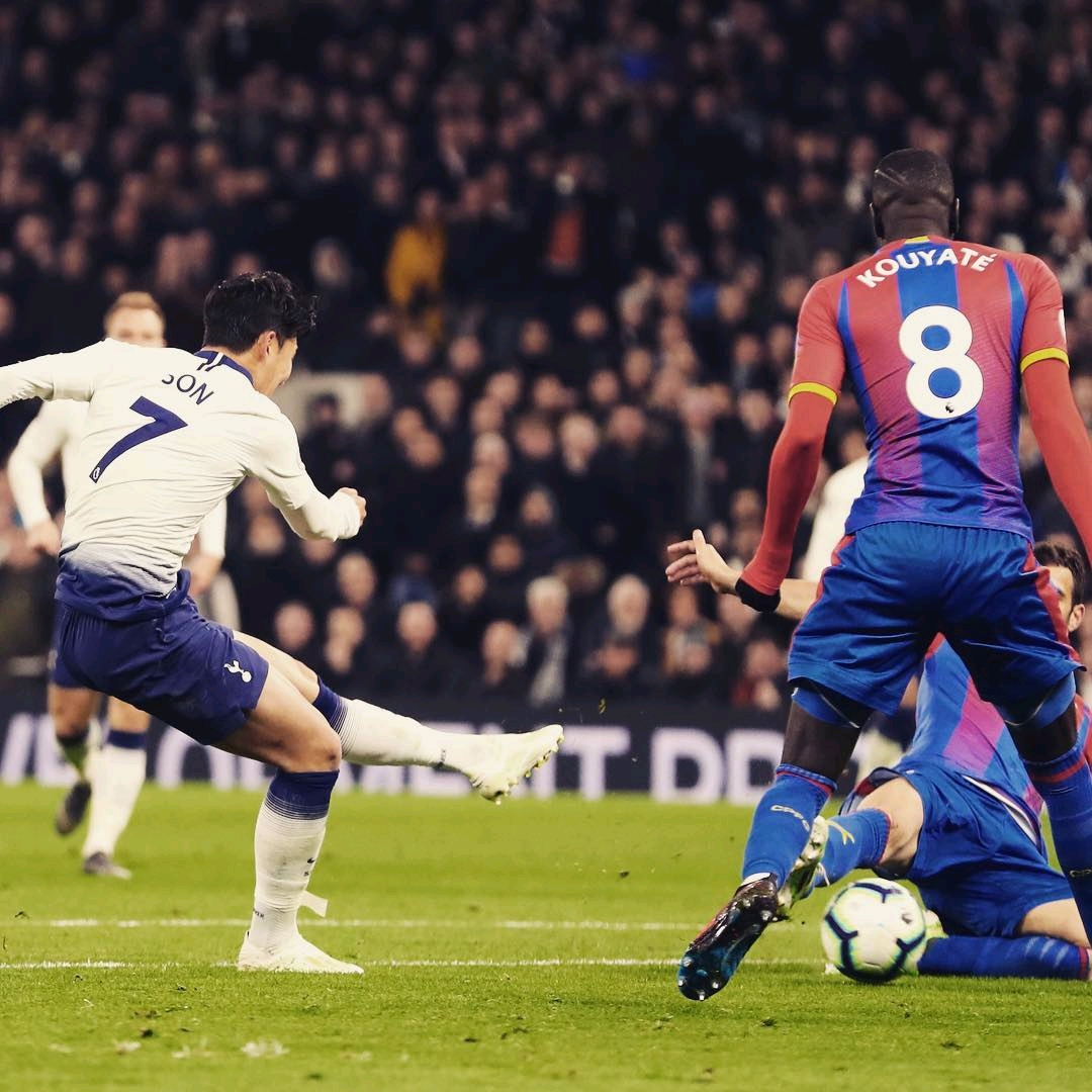 贡萨洛拥有 贡萨洛拥有